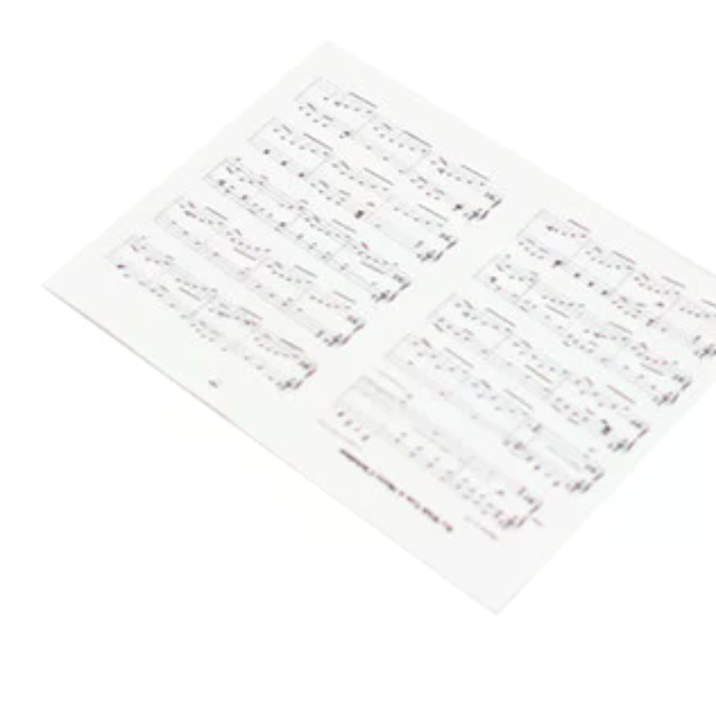 Musical Instrument Images - 2Pcs/Set 1:12 Dollhouse Miniature Microphone Sheet