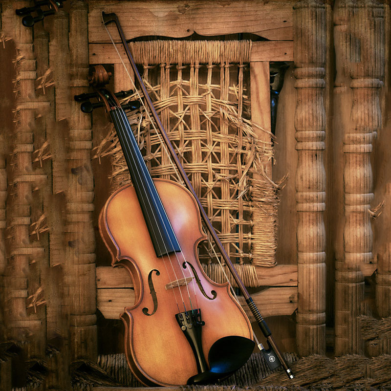 Violin Bow Violin Player Learn - đánh giá và giá Musical Instrument Shop