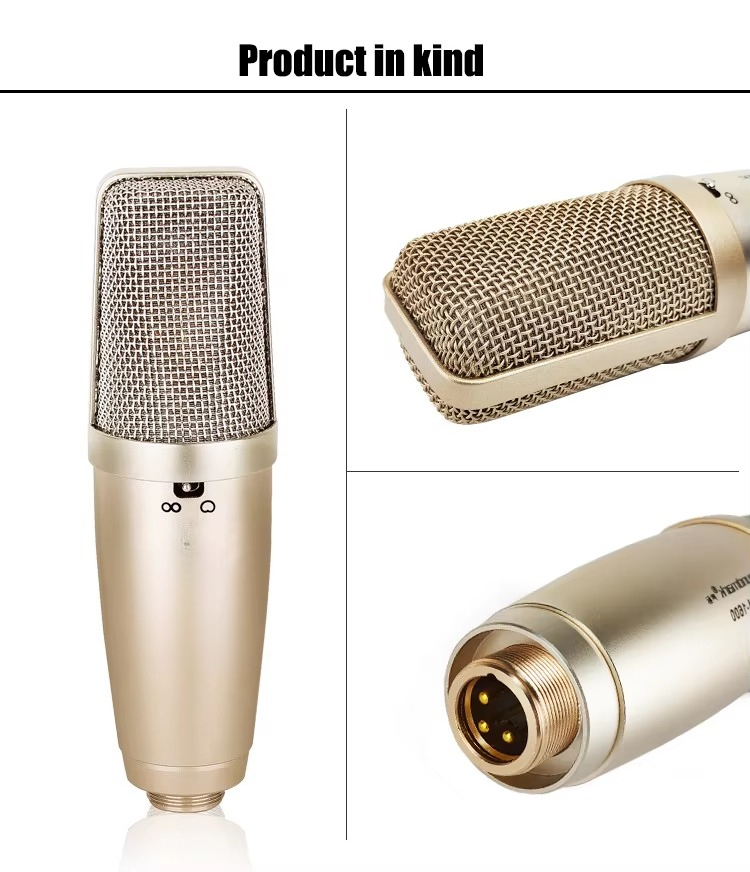 Brand New Kids Microphone With - đánh giá và giá Song With Musical Instrument